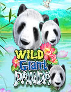 กลุ่มนําเล่นสล็อต: สูตรเด็ดพิชิตเกม